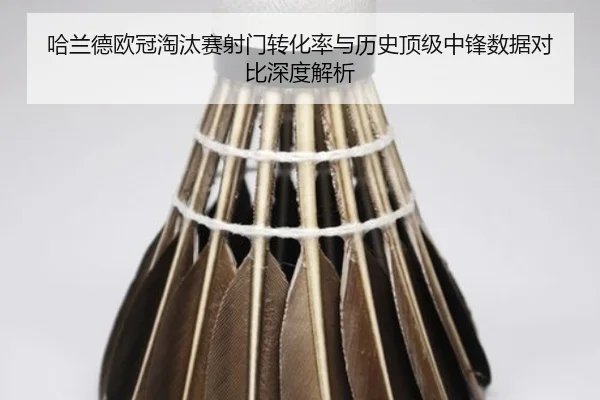 哈兰德欧冠淘汰赛射门转化率与历史顶级中锋数据对比深度解析
