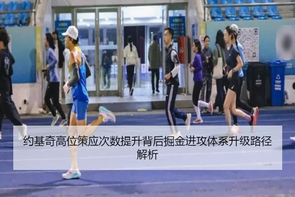约基奇高位策应次数提升背后掘金进攻体系升级路径解析